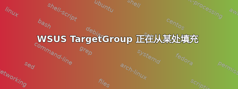 WSUS TargetGroup 正在从某处填充