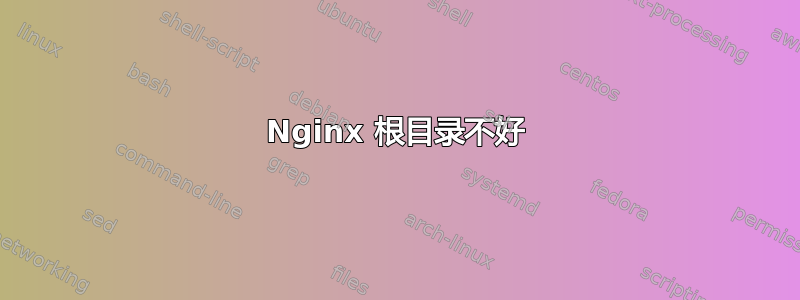 Nginx 根目录不好