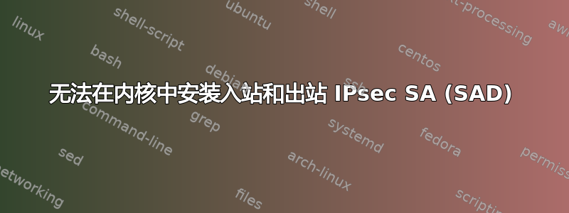 无法在内核中安装入站和出站 IPsec SA (SAD)