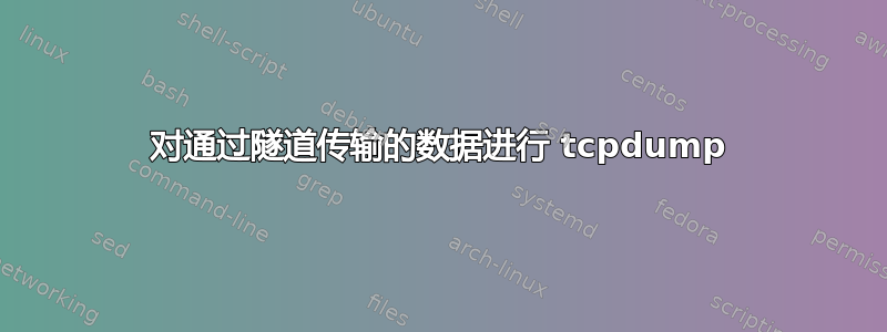 对通过隧道传输的数据进行 tcpdump