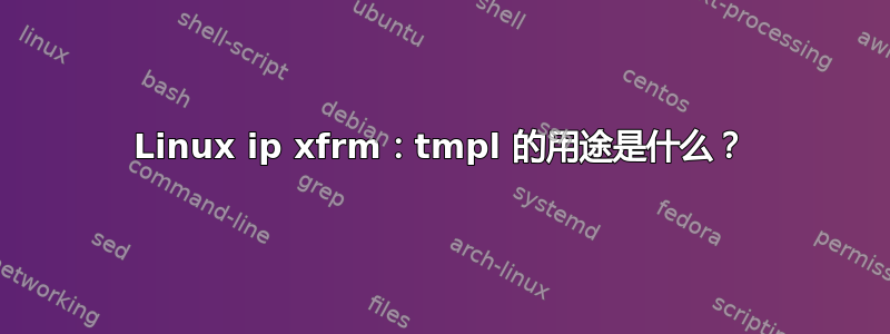 Linux ip xfrm：tmpl 的用途是什么？