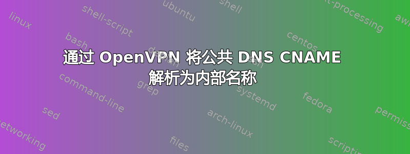 通过 OpenVPN 将公共 DNS CNAME 解析为内部名称