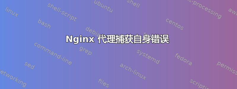 Nginx 代理捕获自身错误