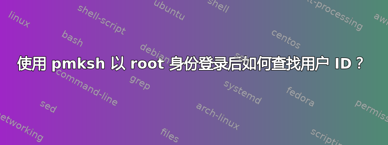 使用 pmksh 以 root 身份登录后如何查找用户 ID？