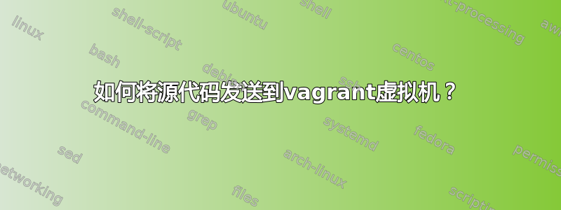 如何将源代码发送到vagrant虚拟机？