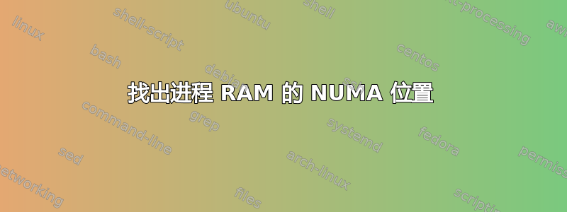 找出进程 RAM 的 NUMA 位置