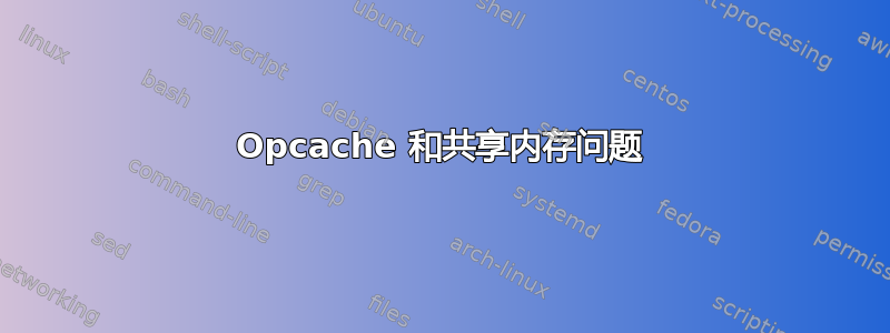 Opcache 和共享内存问题