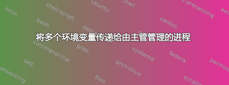 将多个环境变量传递给由主管管理的进程