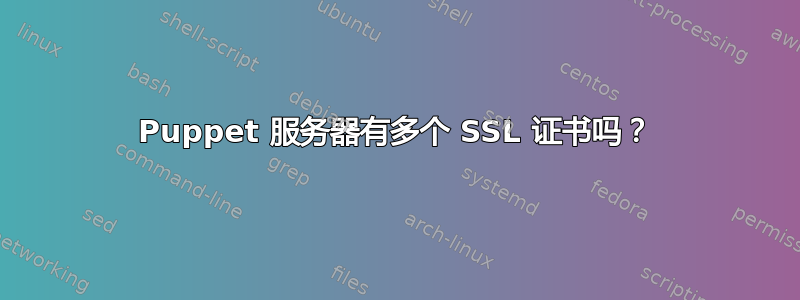 Puppet 服务器有多个 SSL 证书吗？