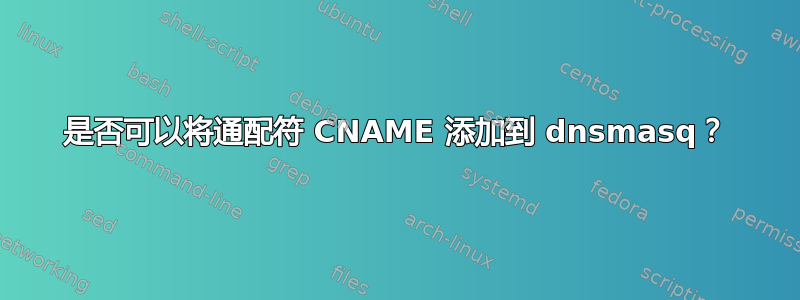 是否可以将通配符 CNAME 添加到 dnsmasq？