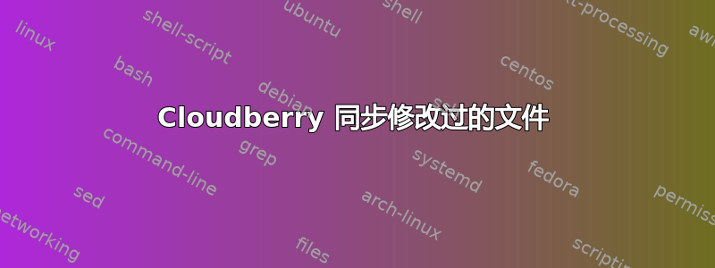 Cloudberry 同步修改过的文件