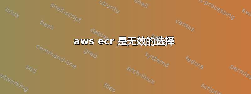 aws ecr 是无效的选择