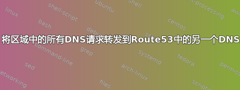 关于r：将区域中的所有DNS请求转发到Route53中的另一个DNS服务器