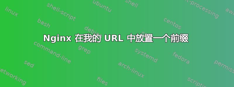 Nginx 在我的 URL 中放置一个前缀