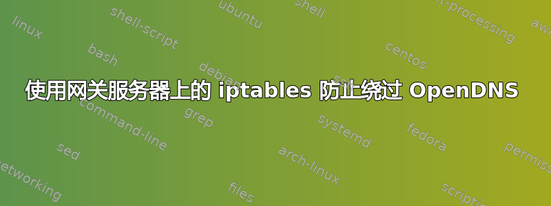 使用网关服务器上的 iptables 防止绕过 OpenDNS