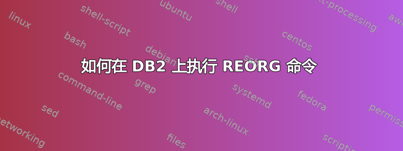 如何在 DB2 上执行 REORG 命令