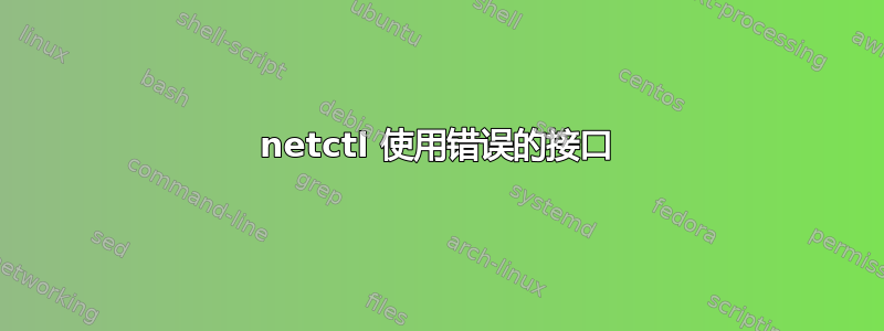 netctl 使用错误的接口