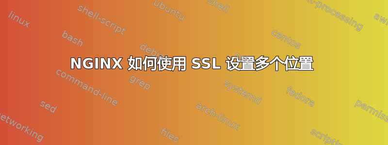 NGINX 如何使用 SSL 设置多个位置