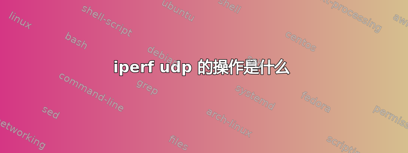 iperf udp 的操作是什么