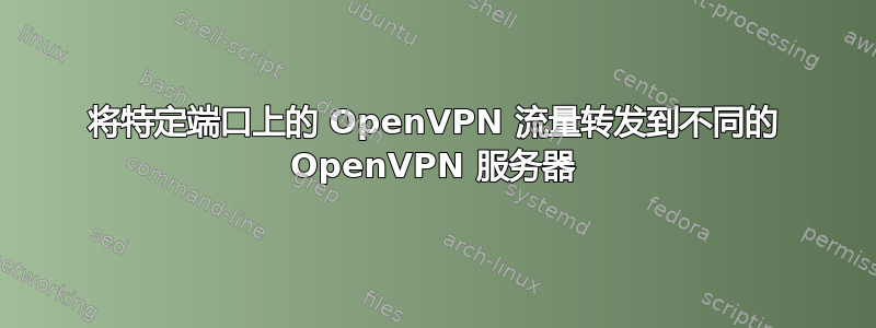 将特定端口上的 OpenVPN 流量转发到不同的 OpenVPN 服务器