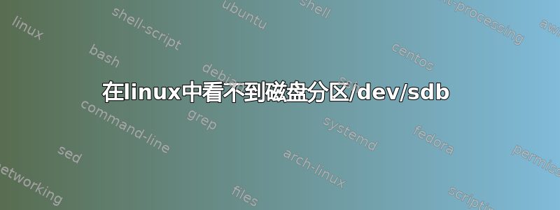 在linux中看不到磁盘分区/dev/sdb