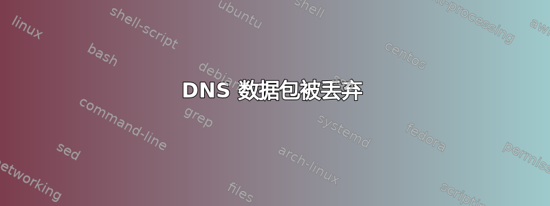 DNS 数据包被丢弃