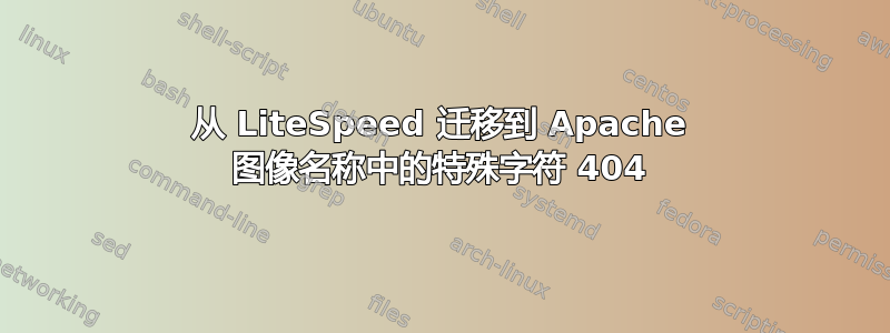 从 LiteSpeed 迁移到 Apache 图像名称中的特殊字符 404