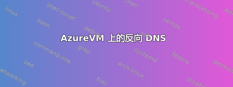 AzureVM 上的反向 DNS 