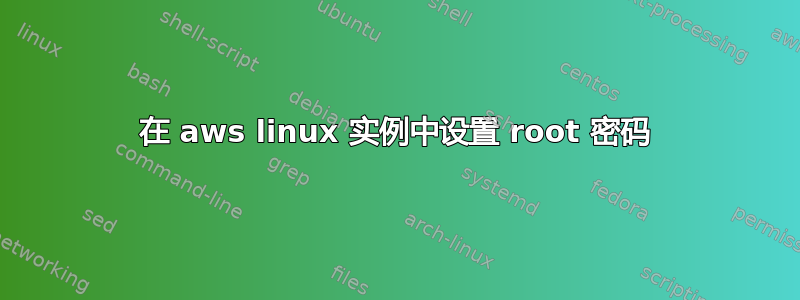 在 aws linux 实例中设置 root 密码