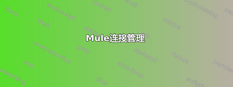 Mule连接管理