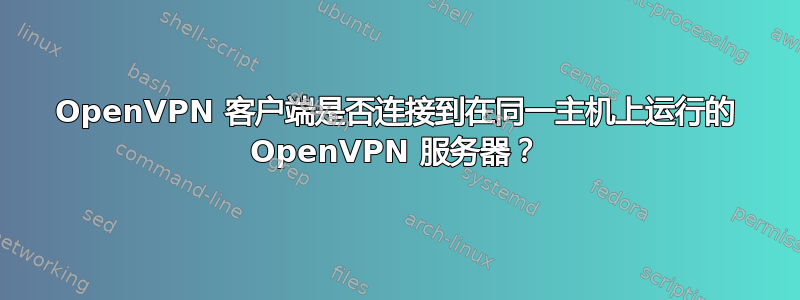 OpenVPN 客户端是否连接到在同一主机上运行的 OpenVPN 服务器？