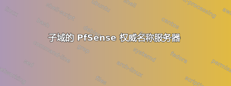 子域的 PfSense 权威名称服务器