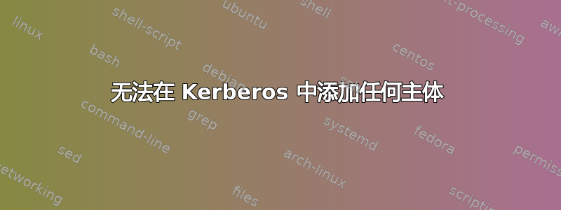 无法在 Kerberos 中添加任何主体