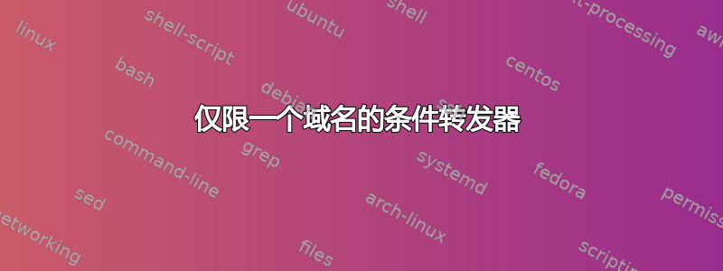 仅限一个域名的条件转发器