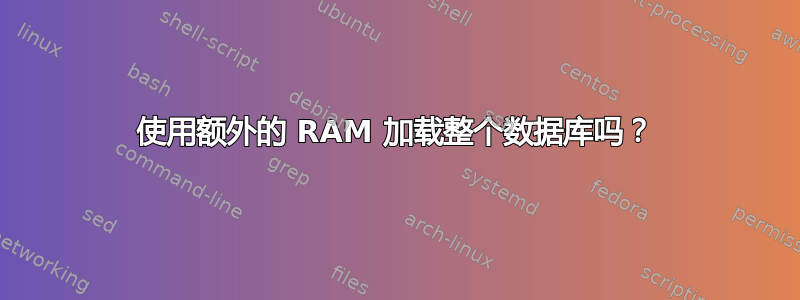 使用额外的 RAM 加载整个数据库吗？