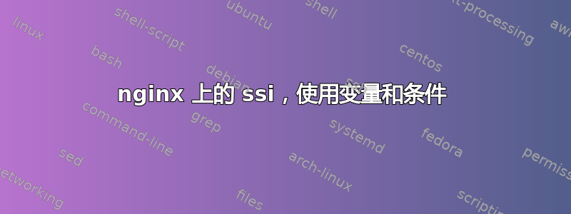 nginx 上的 ssi，使用变量和条件