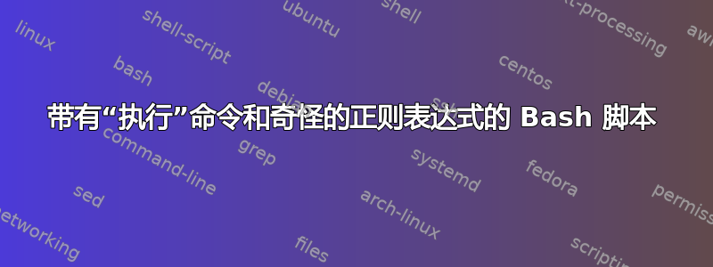 带有“执行”命令和奇怪的正则表达式的 Bash 脚本