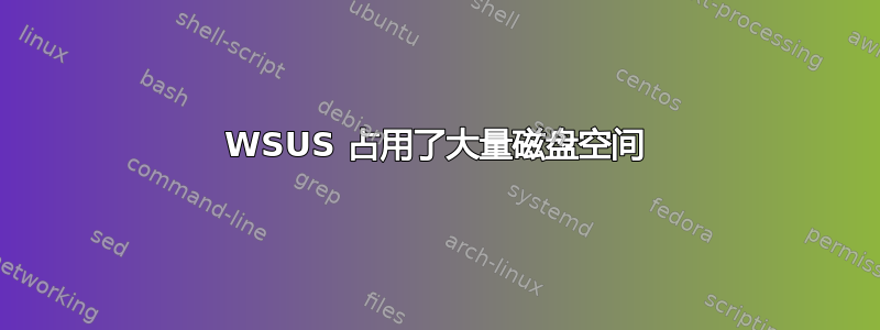 WSUS 占用了大量磁盘空间