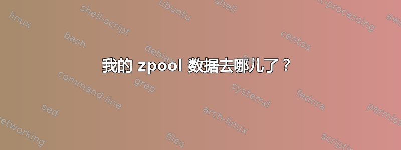 我的 zpool 数据去哪儿了？