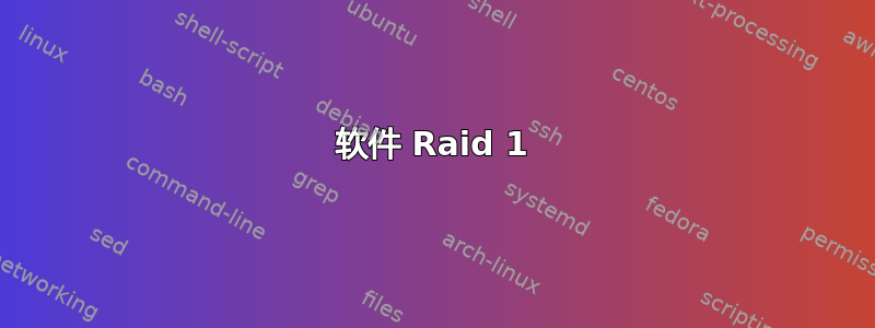 软件 Raid 1