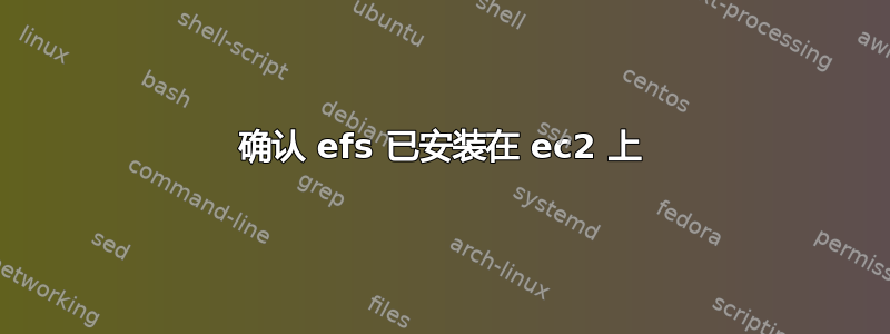 确认 efs 已安装在 ec2 上