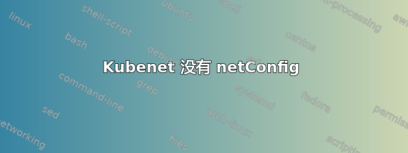 Kubenet 没有 netConfig