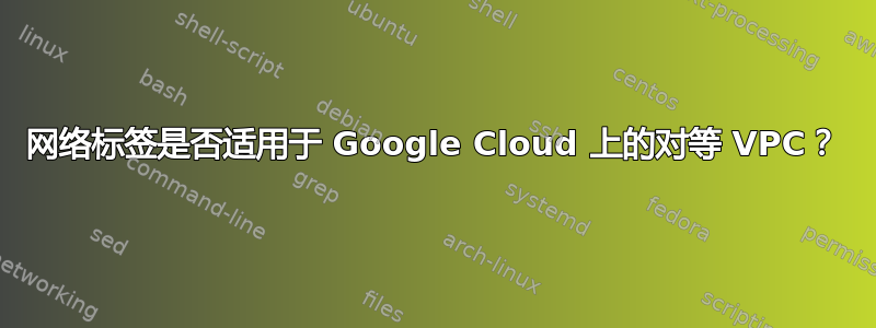 网络标签是否适用于 Google Cloud 上的对等 VPC？