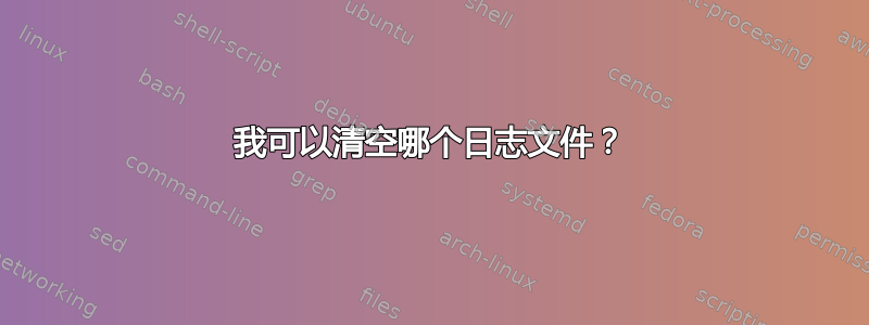 我可以清空哪个日志文件？