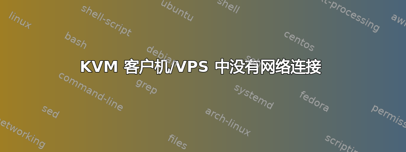 KVM 客户机/VPS 中没有网络连接