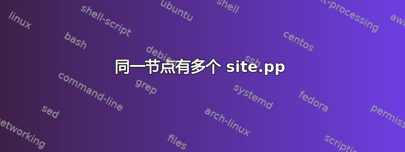 同一节点有多个 site.pp