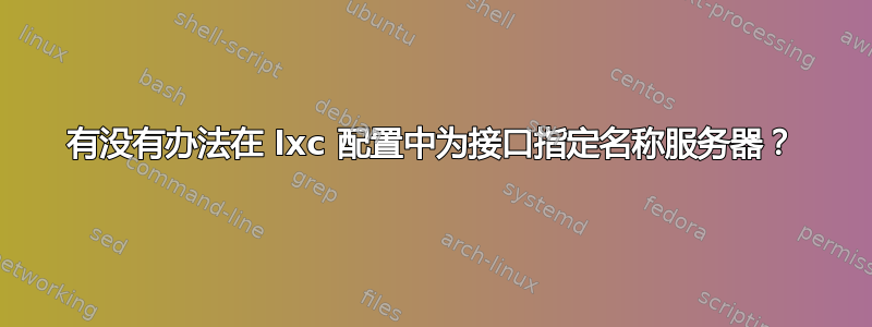 有没有办法在 lxc 配置中为接口指定名称服务器？