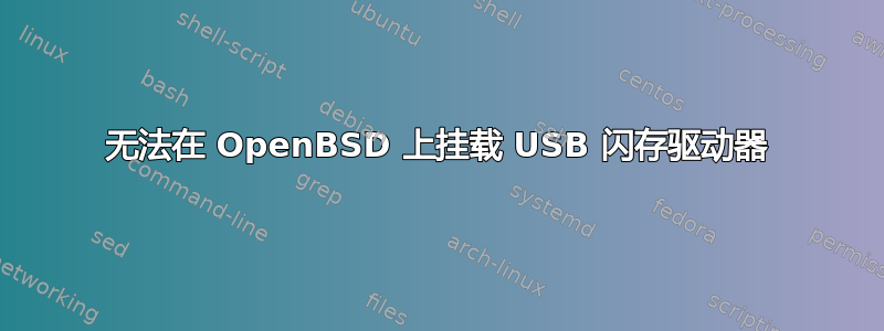 无法在 OpenBSD 上挂载 USB 闪存驱动器