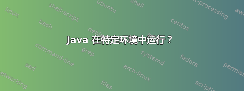 Java 在特定环境中运行？