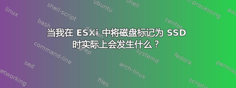 当我在 ESXi 中将磁盘标记为 SSD 时实际上会发生什么？